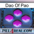 Dao Of Pao 04